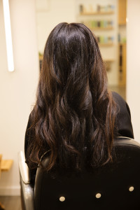 eclipting-color-aveda