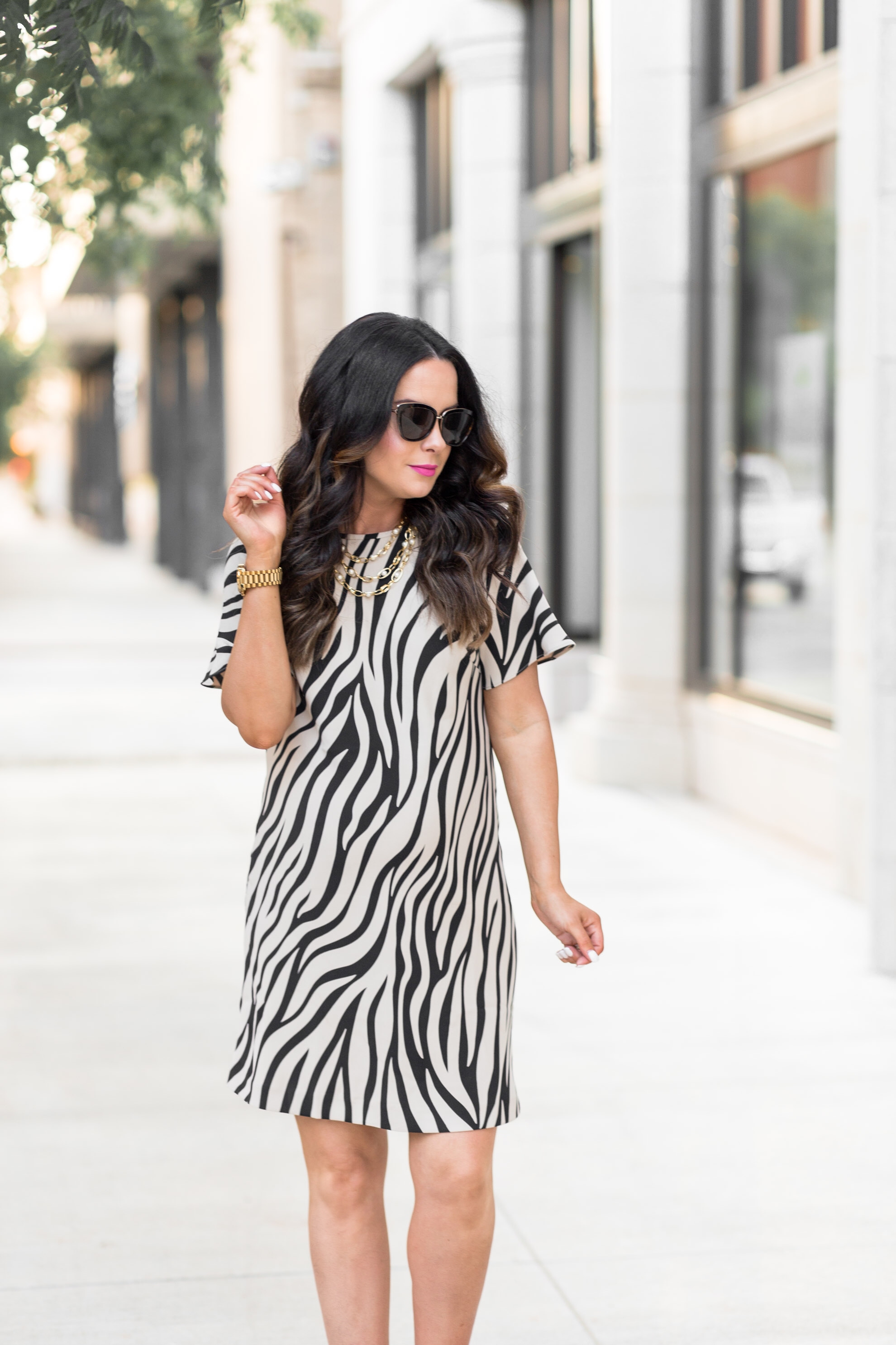 ann-taylor-new-fall-arrivals-zebra-print