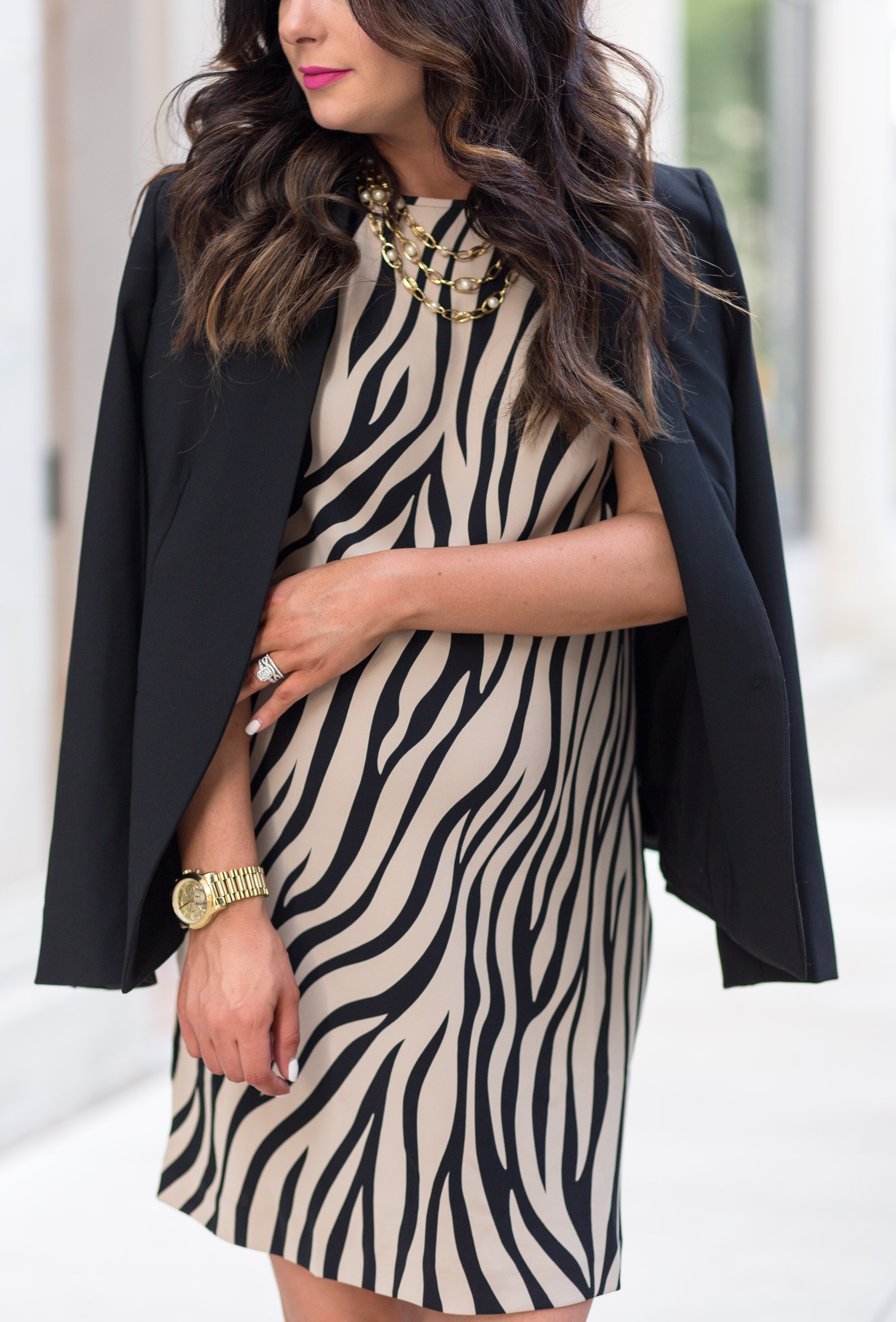 ann-taylor-new-fall-arrivals-zebra-print