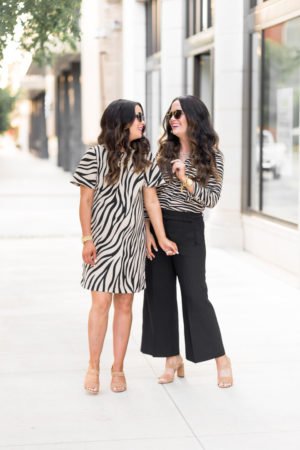 ann-taylor-new-fall-arrivals-zebra-print
