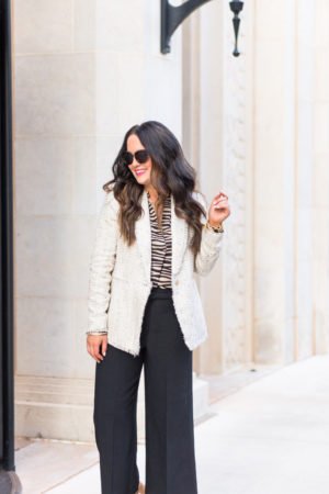 ann-taylor-new-fall-arrivals-zebra-print