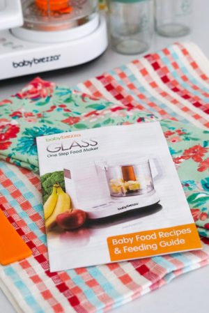 baby-breeza-walmart-organic-baby-food